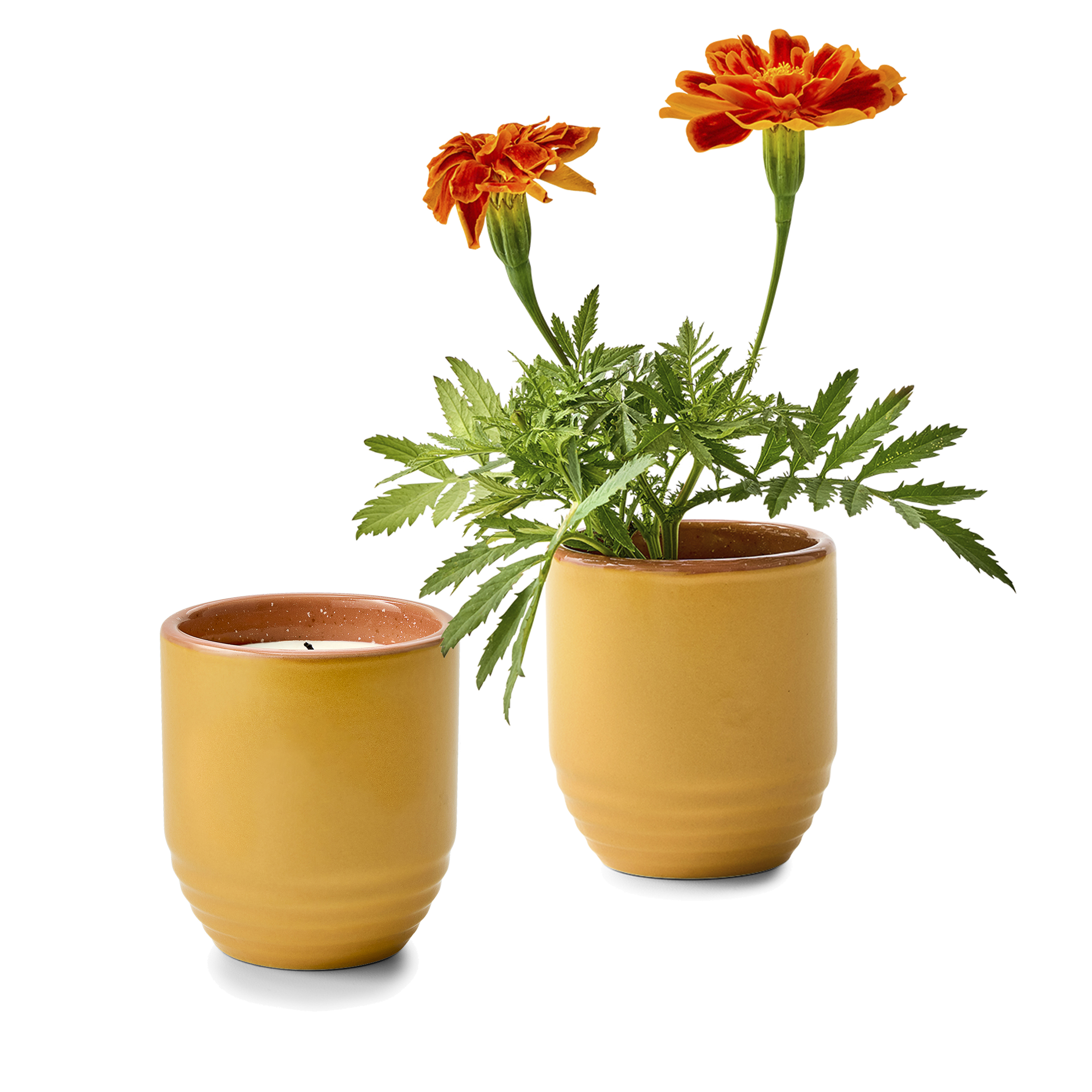 Modern Sprout® Garden Vibes Candle/Planter 51