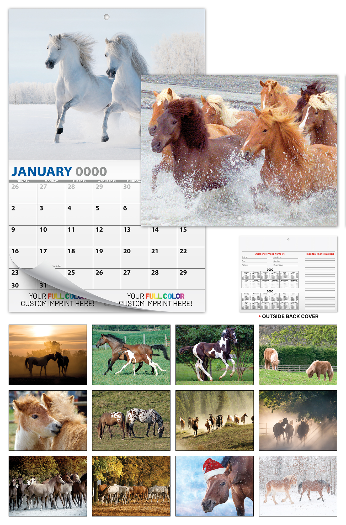 13 Month Custom Appointment Wall Calendar (High Gloss UV-Coated Cover)- HORSES 2
