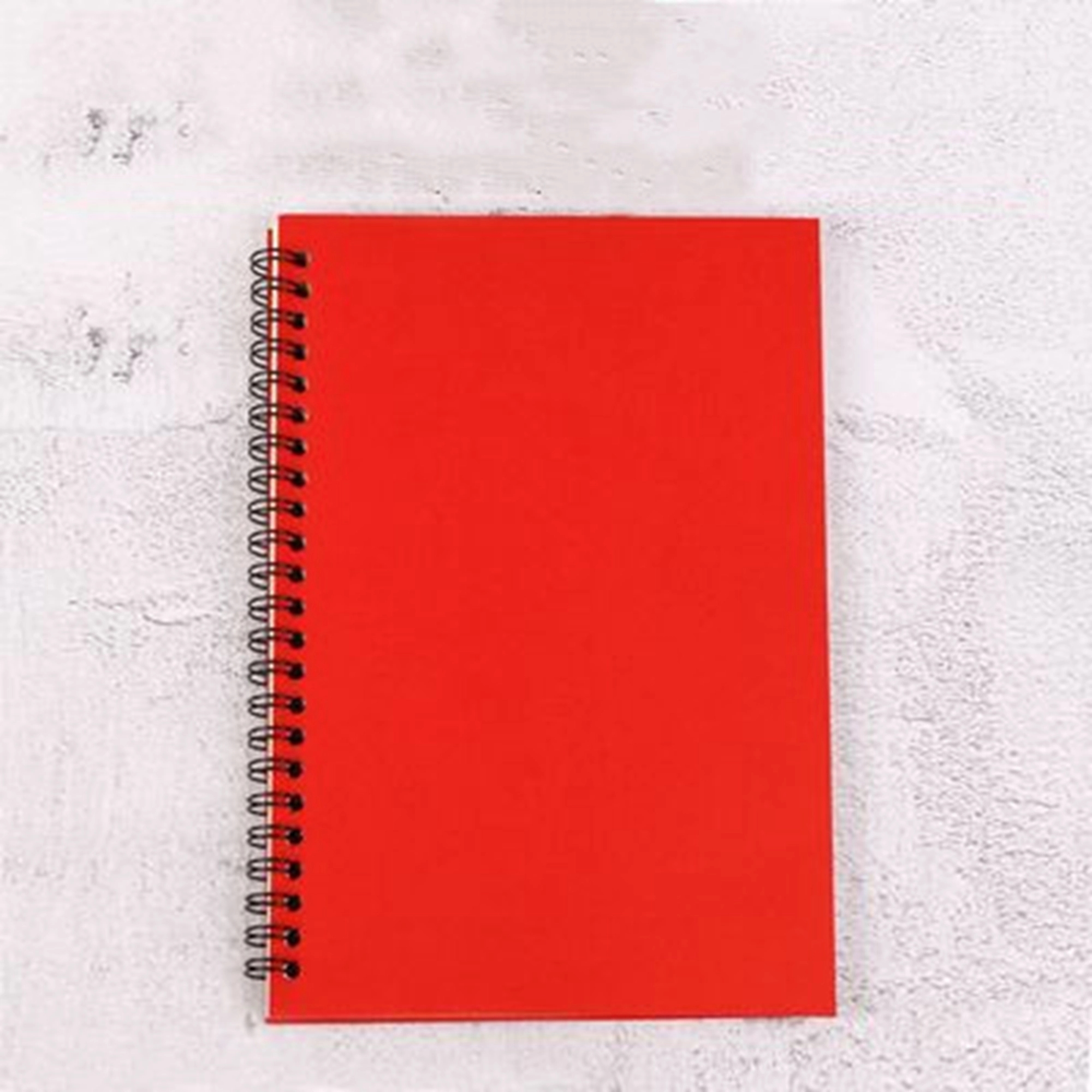 Spiral thickened coil notebook 2