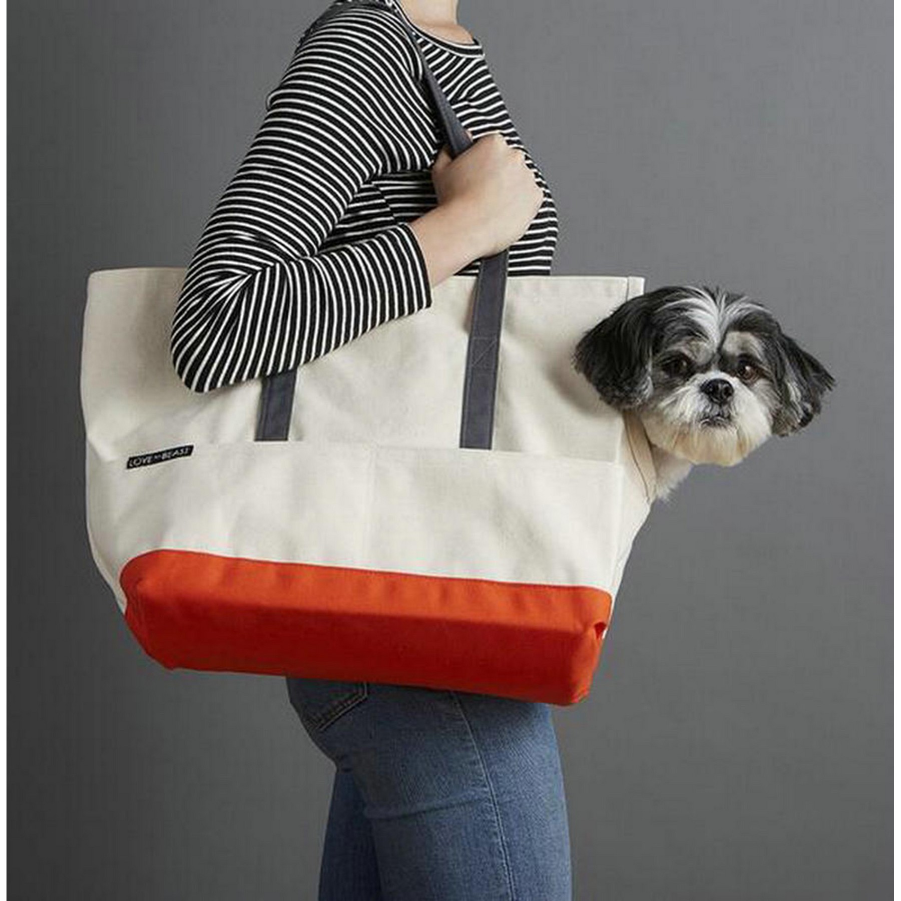 Tote Pet Carrier Bag 4