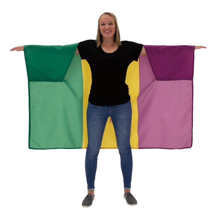 Mardi Gras Body Flag 4