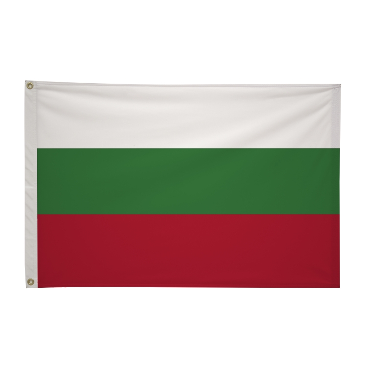 2' x 3'International Flag 24