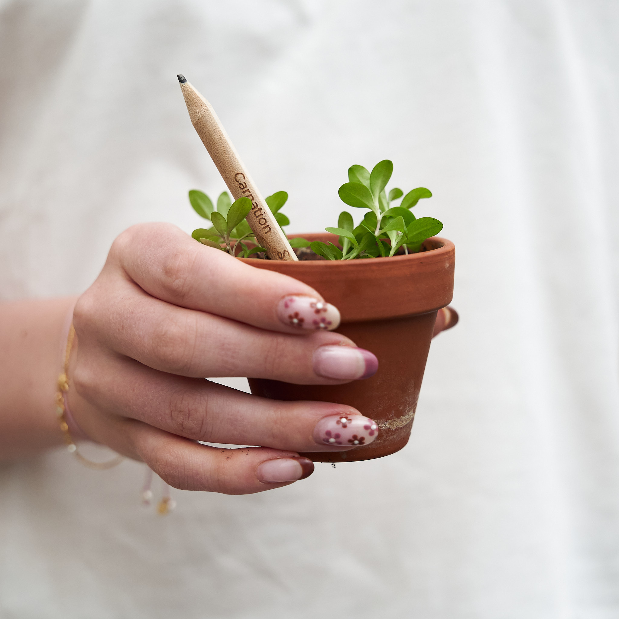 SproutWorld™ Pencil 77