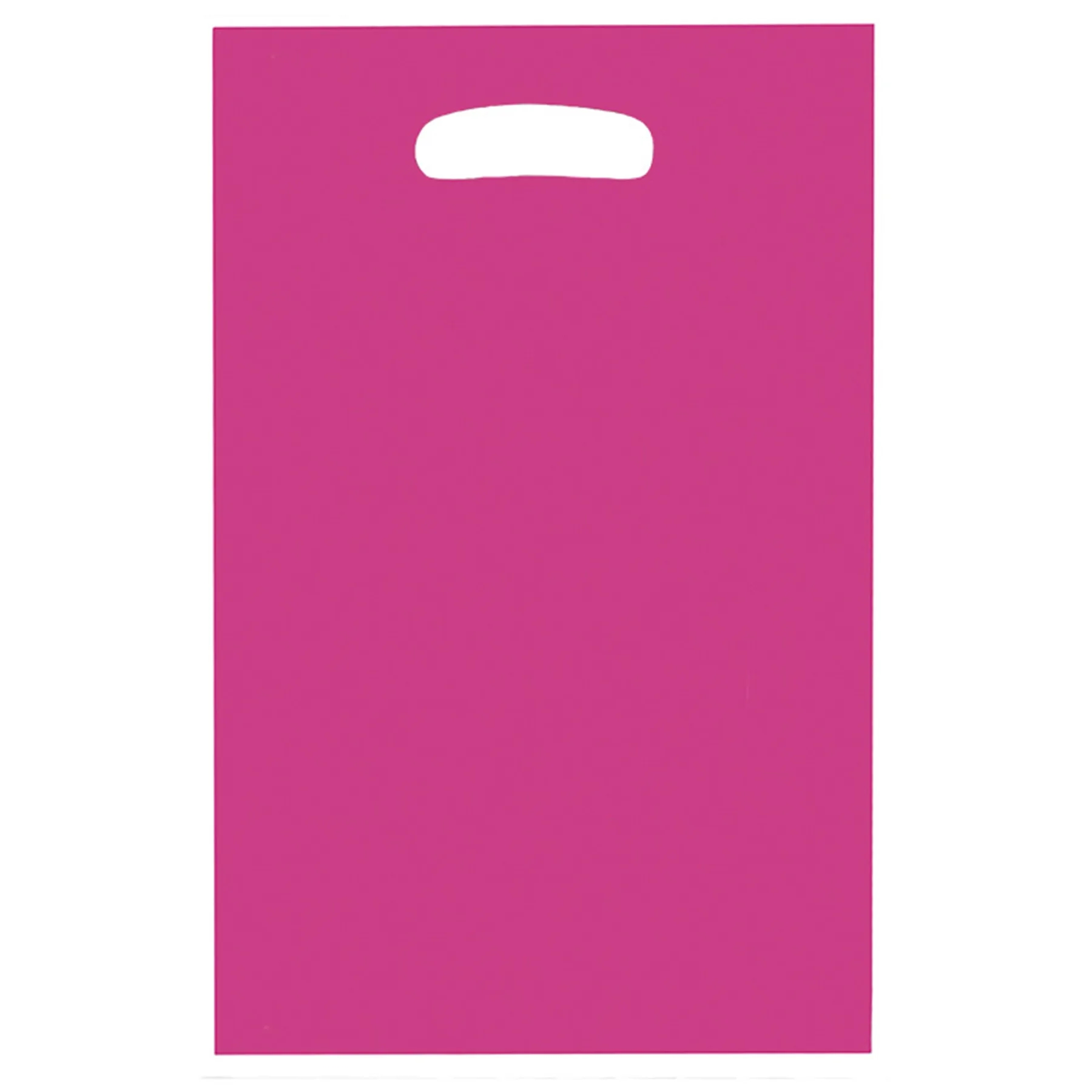 Plastic Shopping Merchandise Gift Bag 13