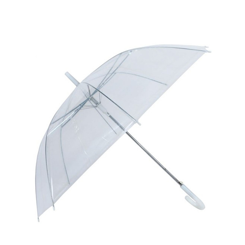 Transparent Umbrella 1