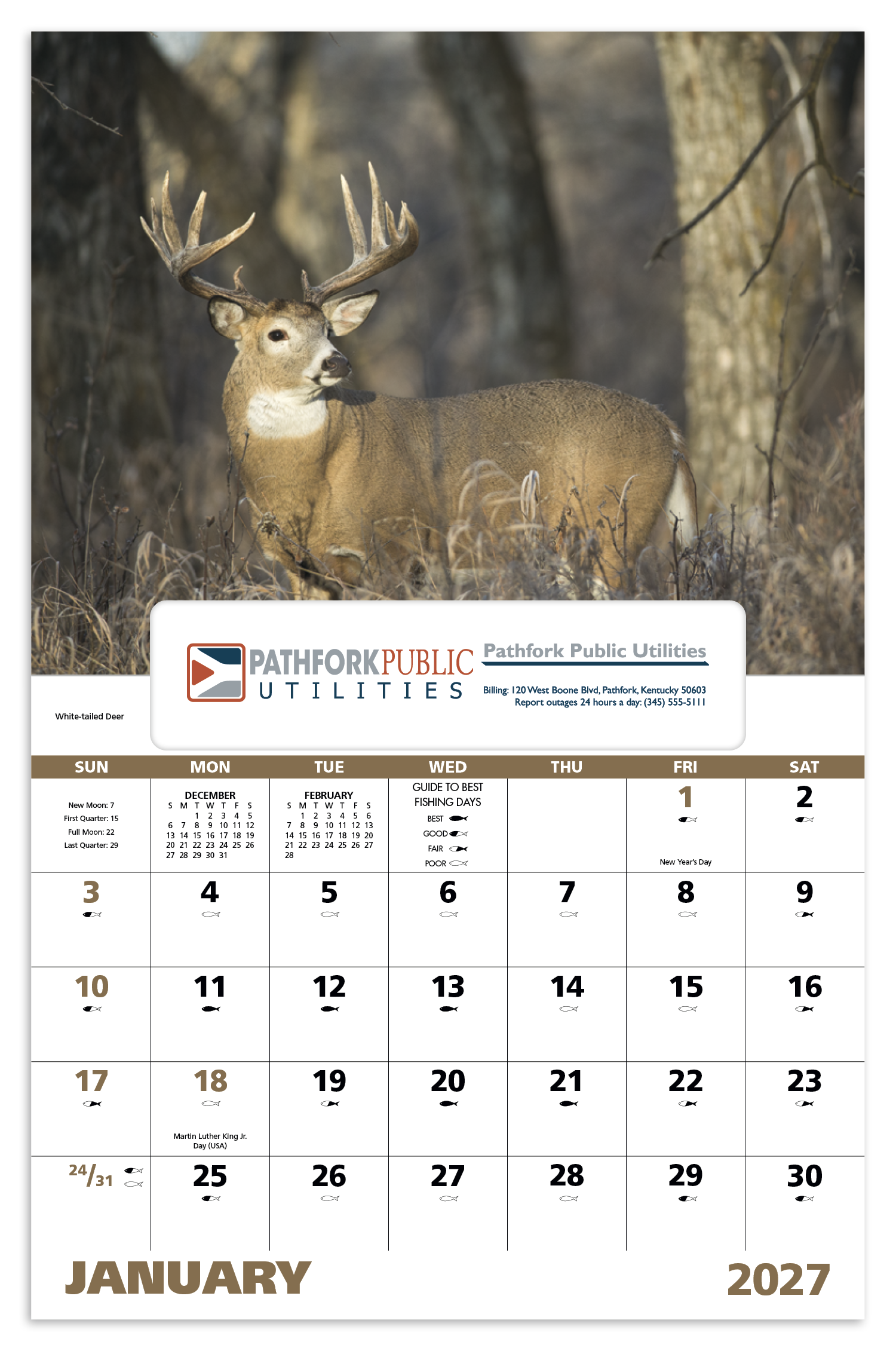 Good Value™ Wildlife Portraits - Window Calendar 46