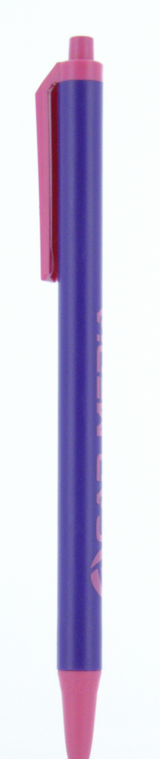 BIC® Clic Stic® Pen