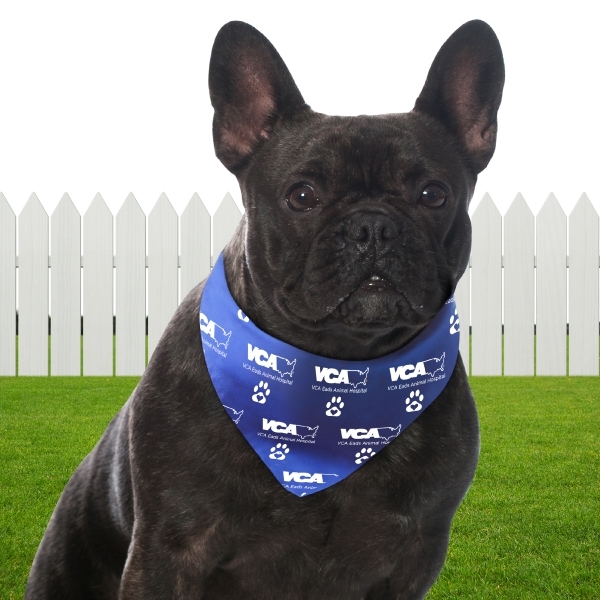BanDoggies® Large Pet Bandanna