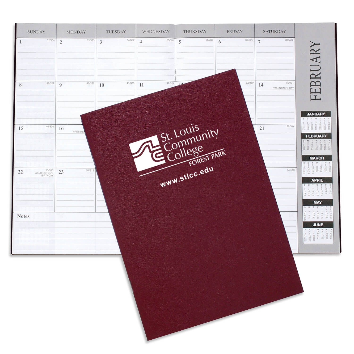 Academic Monthly Desk Planner - Leatherette 10