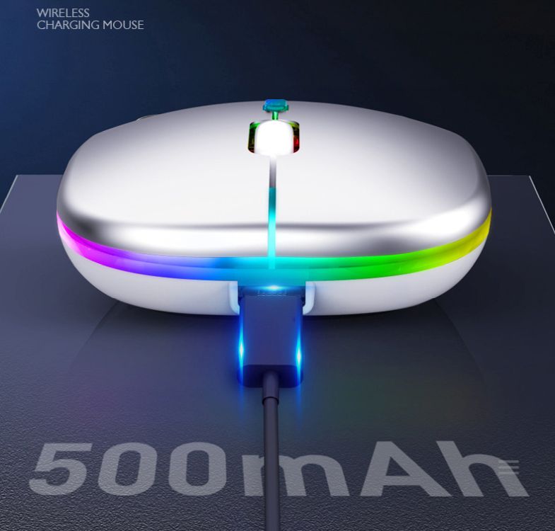 Computer Mouse 6