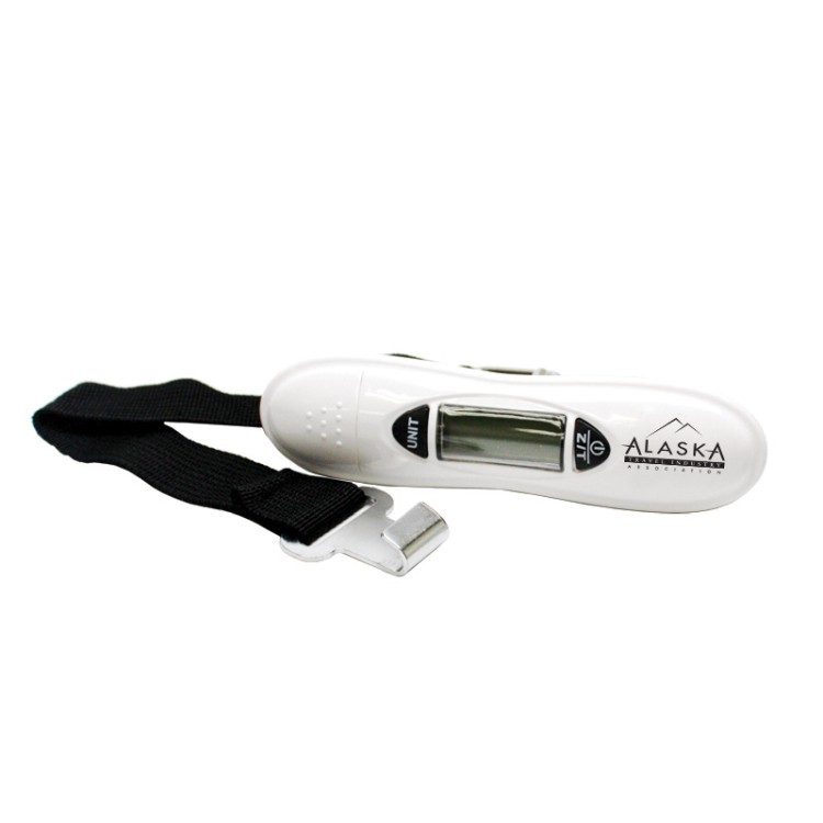 Digital Travel Scale 2
