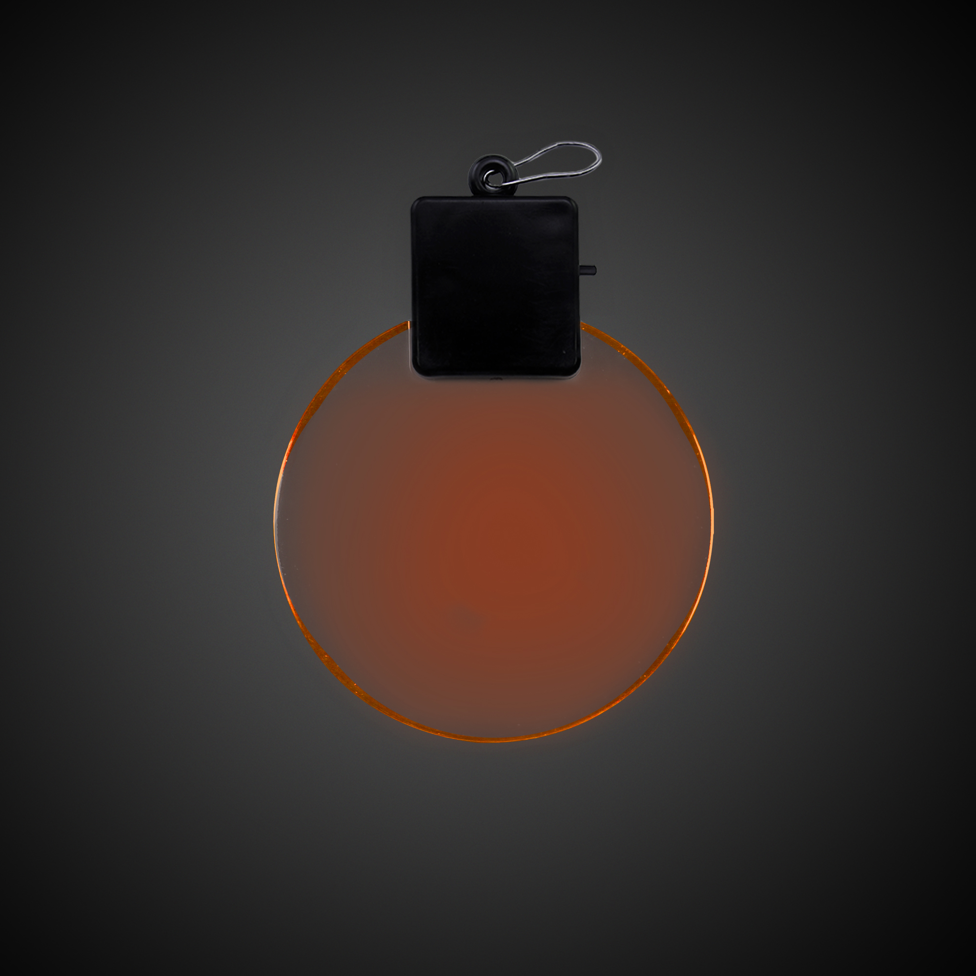 2 1/2" Light-Up LED Glow Medallion 4