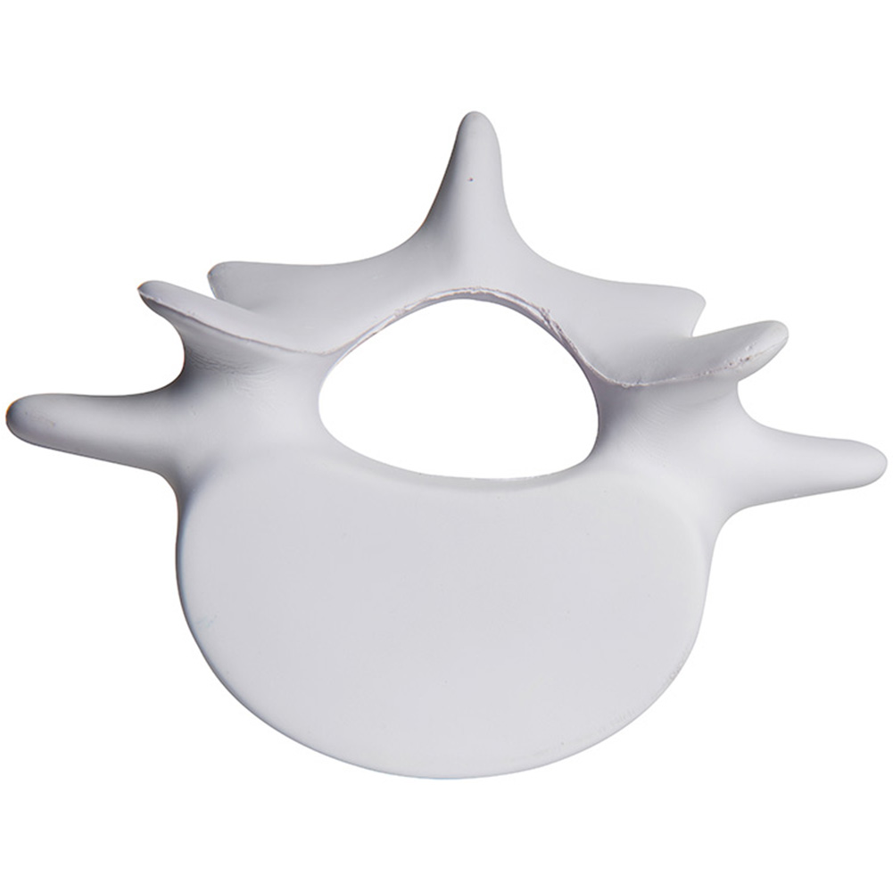 Vertebrae Stress Reliever 4