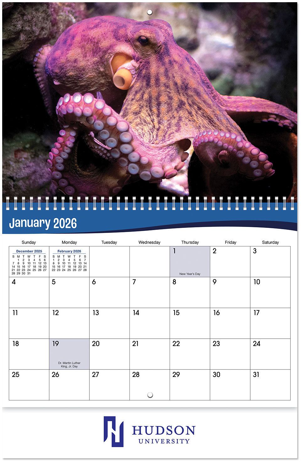 UNDERWATER WORLD SPIRAL WALL CALENDAR 16
