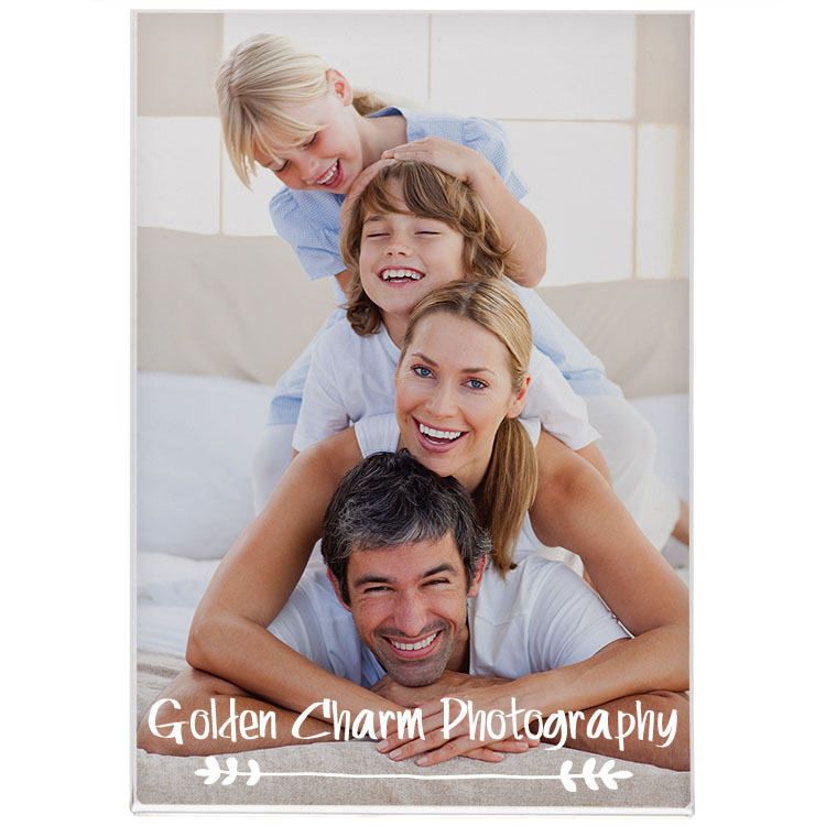 4 x 6 Magnetic Slip-In Frame