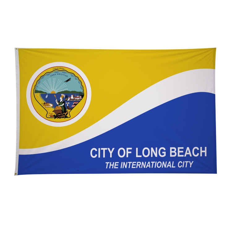 5' x 8' City Flags 3
