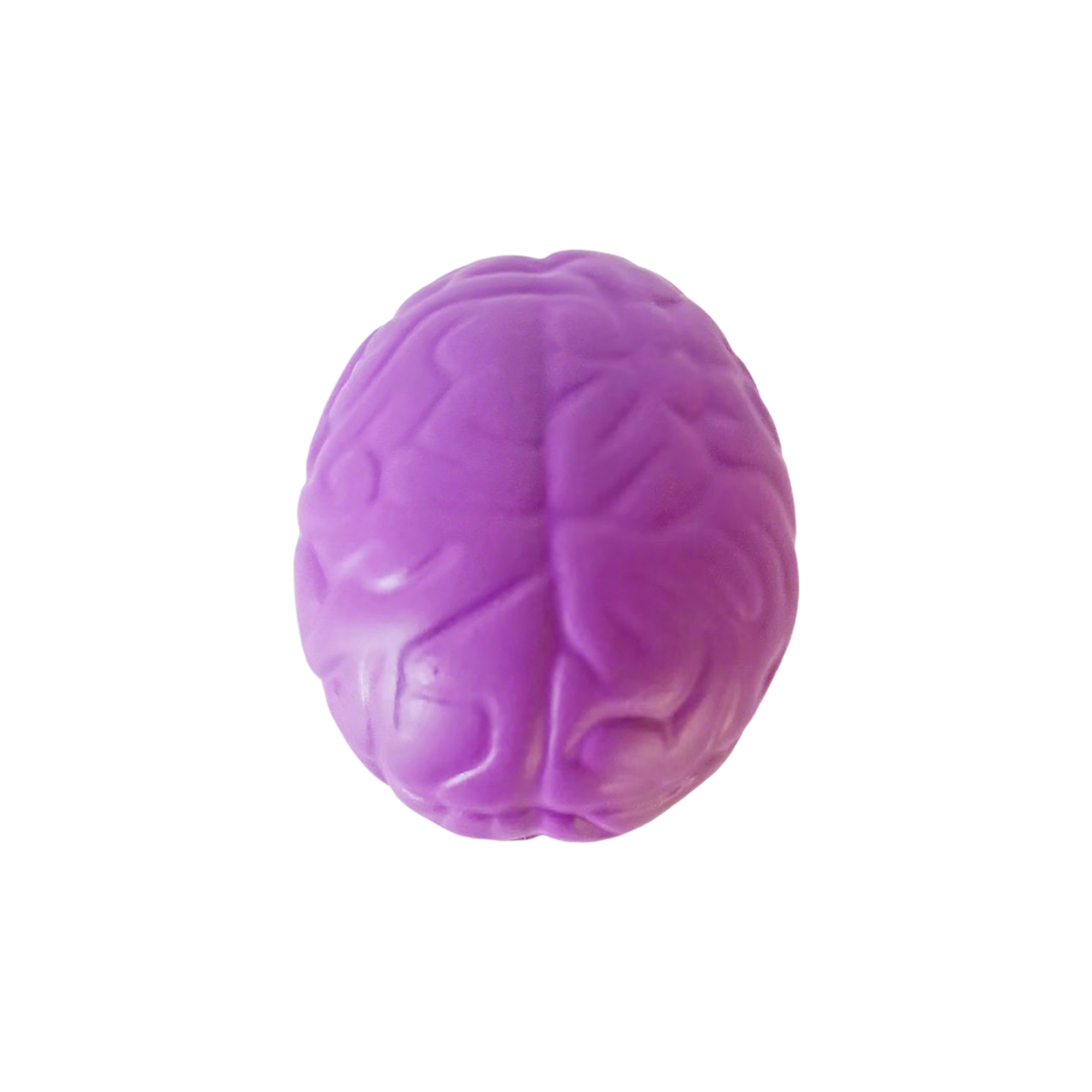 Brain Shape Foam Stress Reliever For Office And Education Use 9