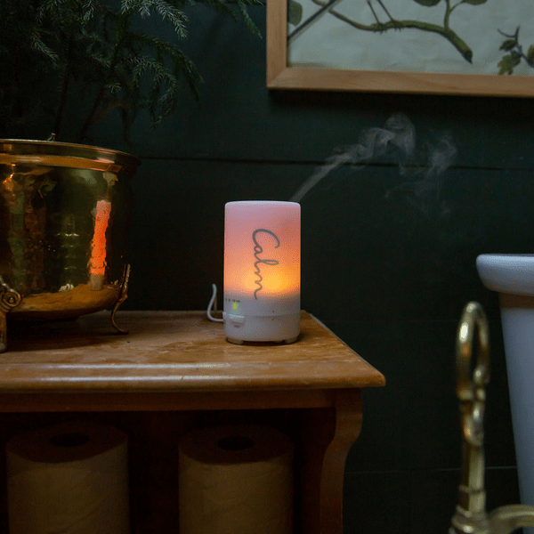 Electronic Diffuser 15