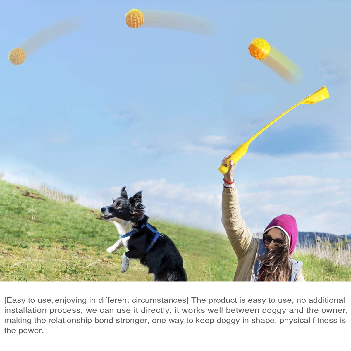 Interactive Dog Toys Ball Launcher 8
