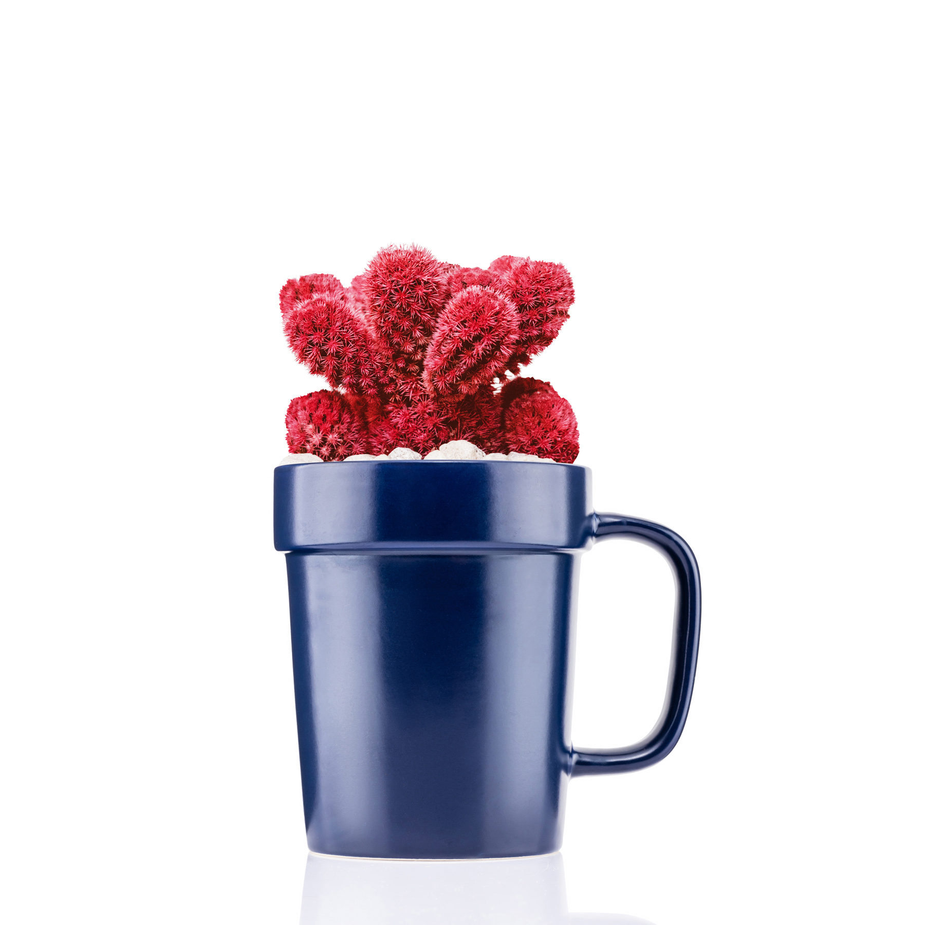 16 oz Planter Mug 23