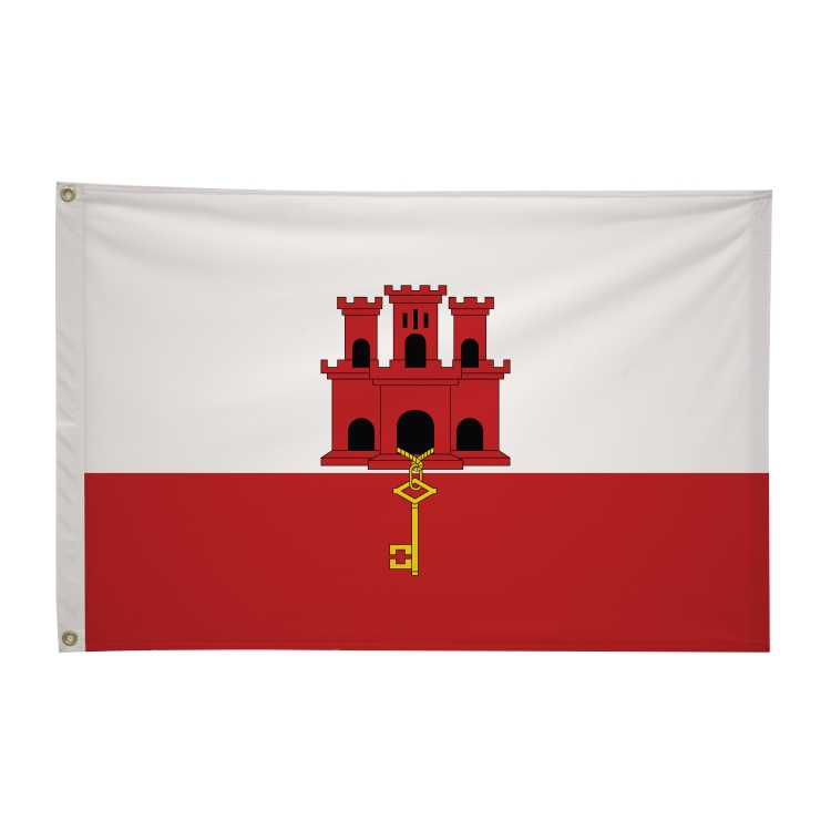 2' x 3'International Flag 297