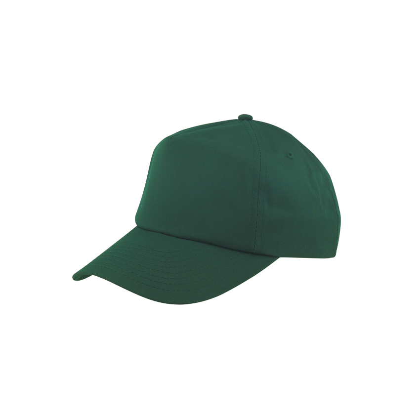 Solid Dad Hat 5