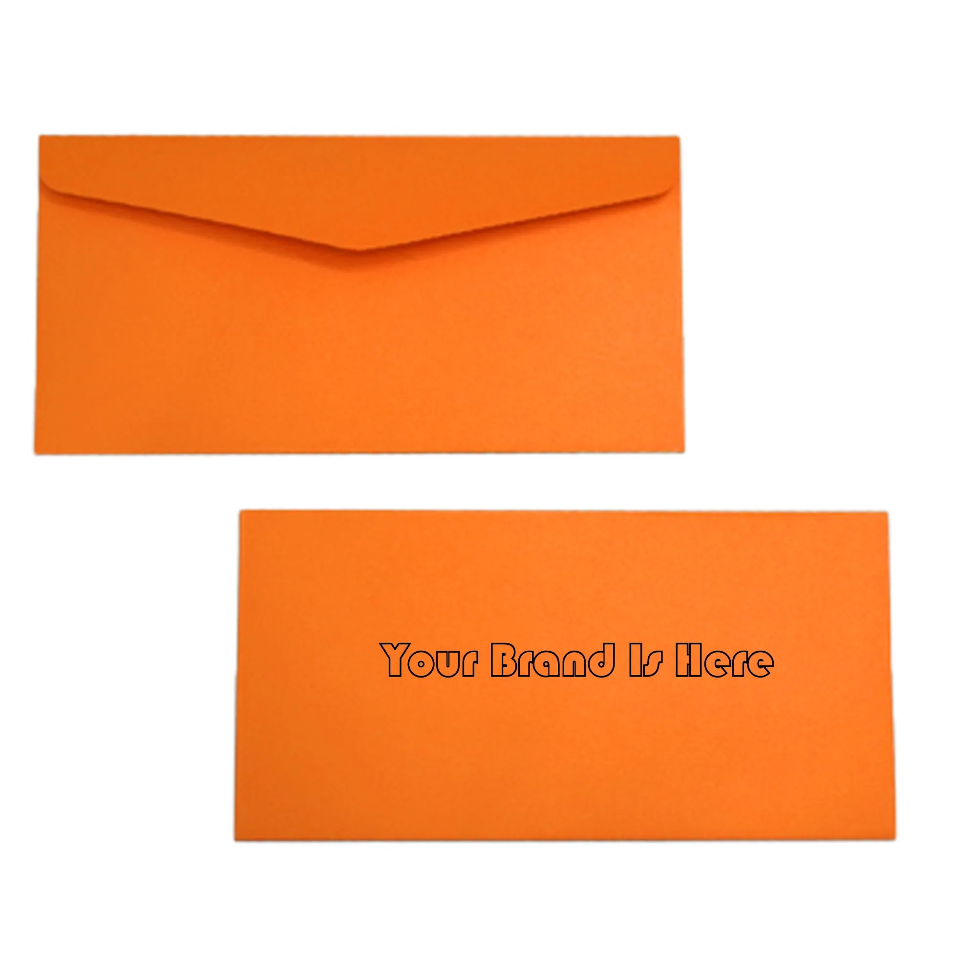 Business Mailing Envelope 5