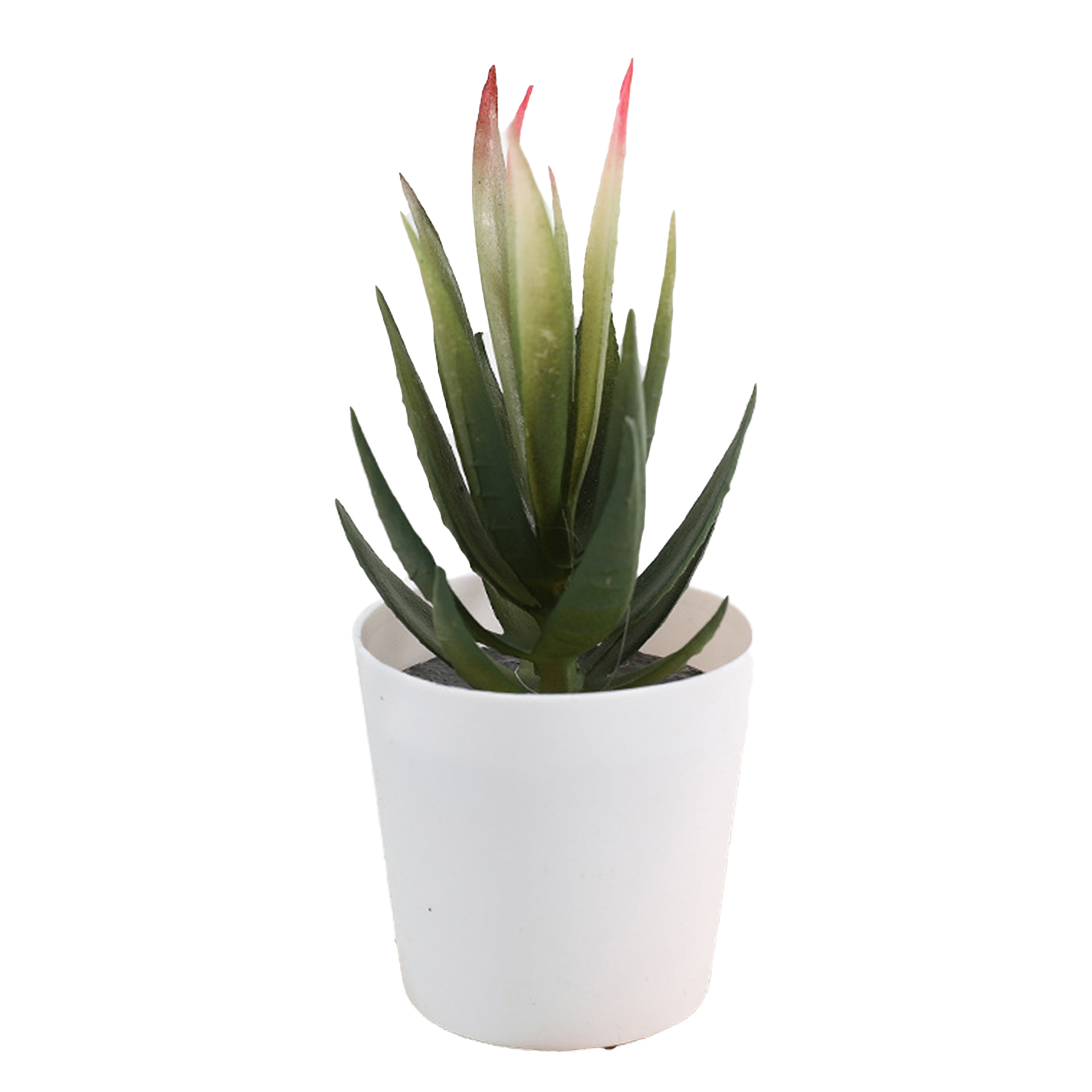 Mini Succulent Potted Plant Set for Home Decor 6