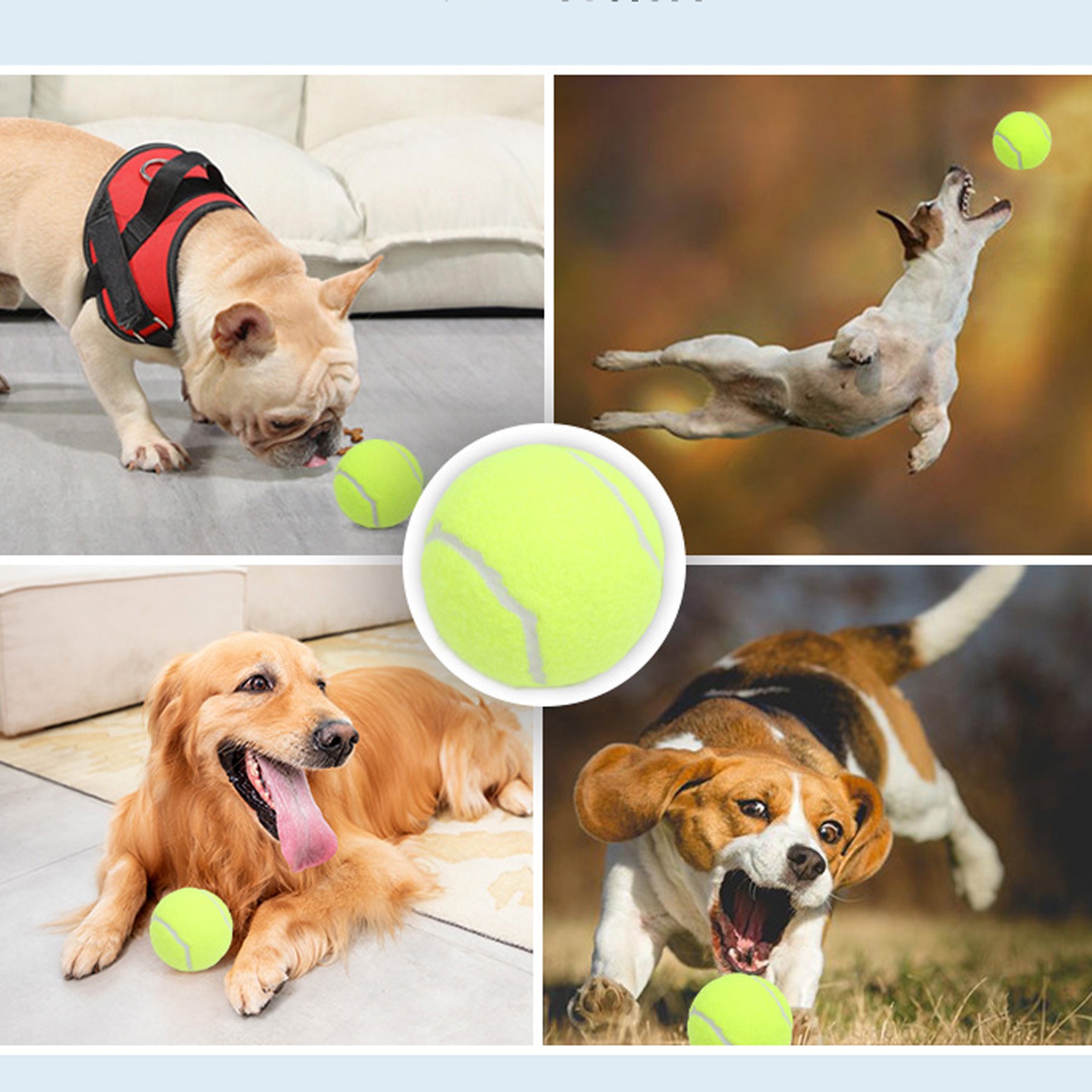 Rubber Training Ball For Pets 2