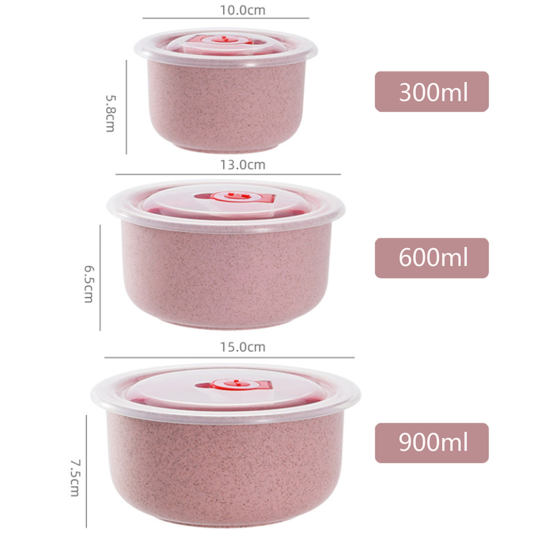 Biodegradable Bento Box 2