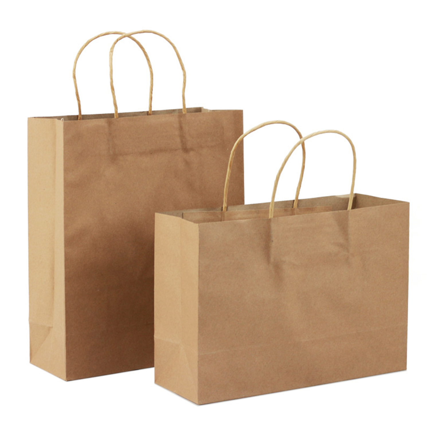 Paper Shopping Bag 3