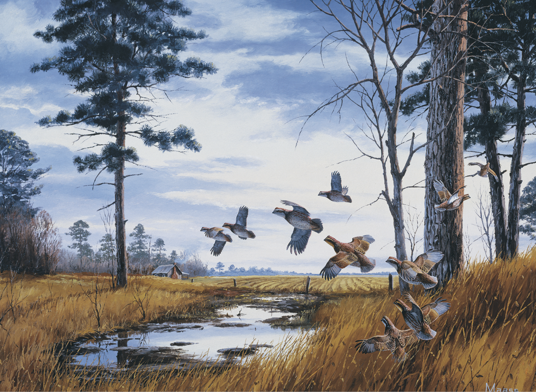HotLine® Products Maass Wildfowl® Executive Calendar 19