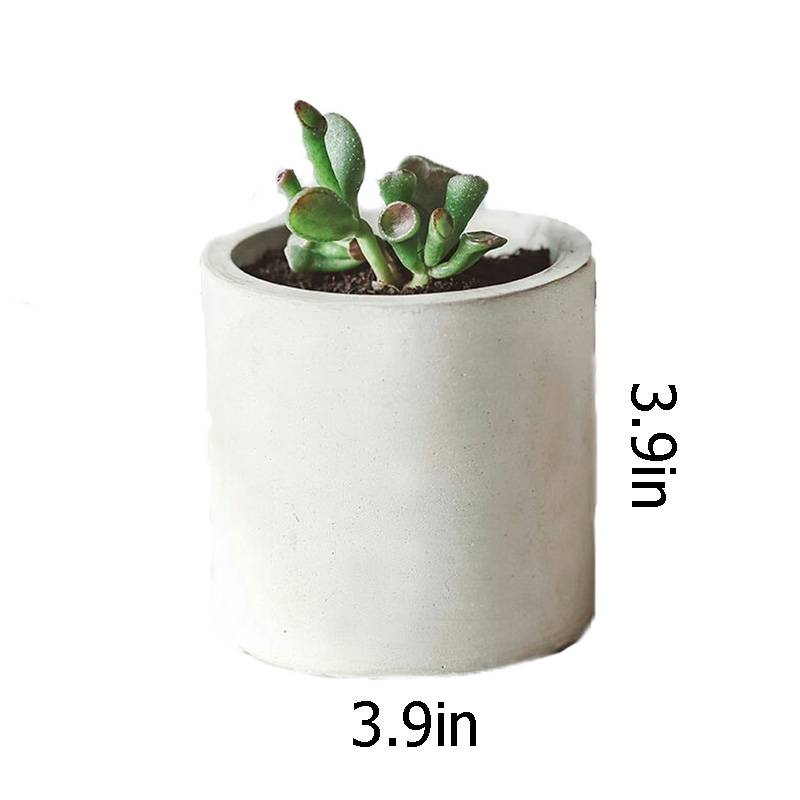 Cement Concrete Flowerpots 1