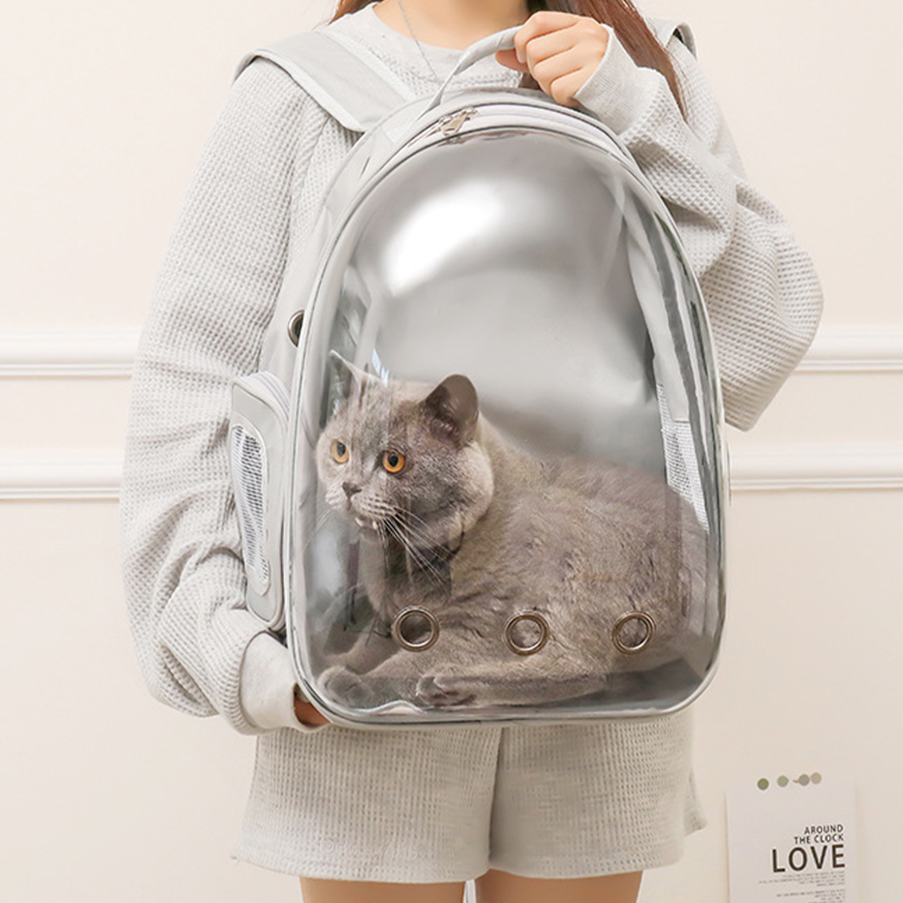 Oxford Portable Transparent Cat Bag 11
