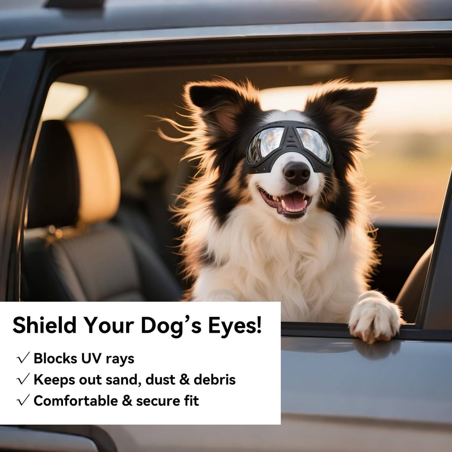 Dog Soft Frame UV Protection Goggles 2