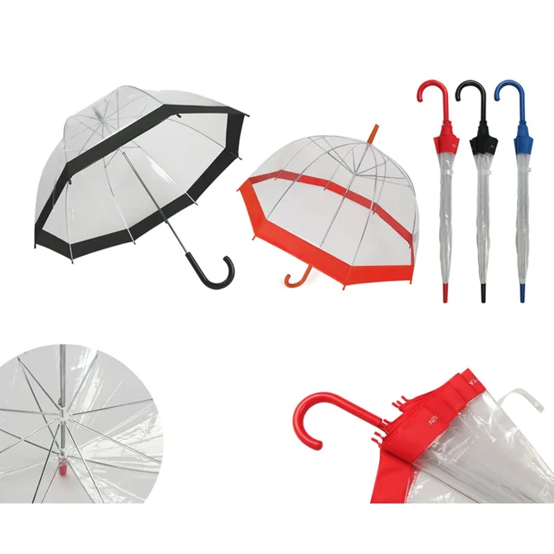 Clear and Transparent Umbrella 2