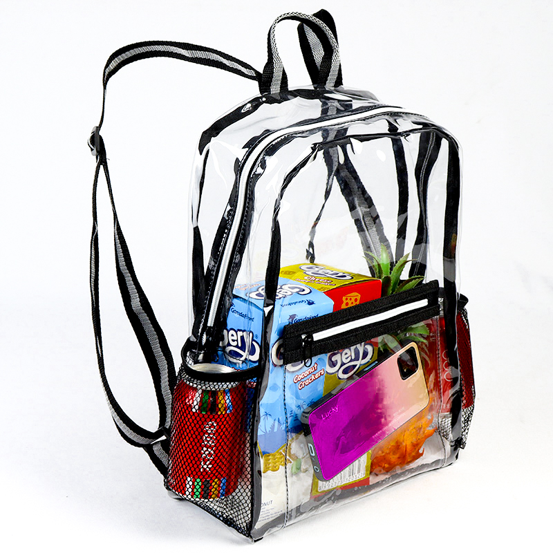 Eco Friendly Clear Backpack 2