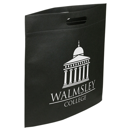 Echo Large Non-Woven Tote 22
