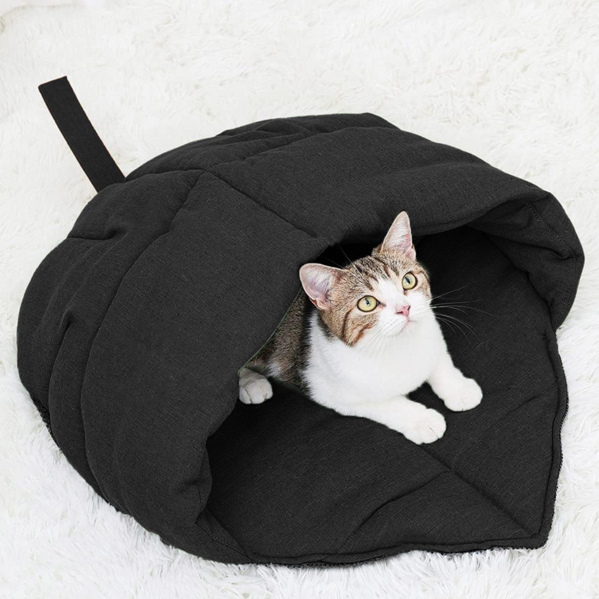 Cat Sleeping Bag 2