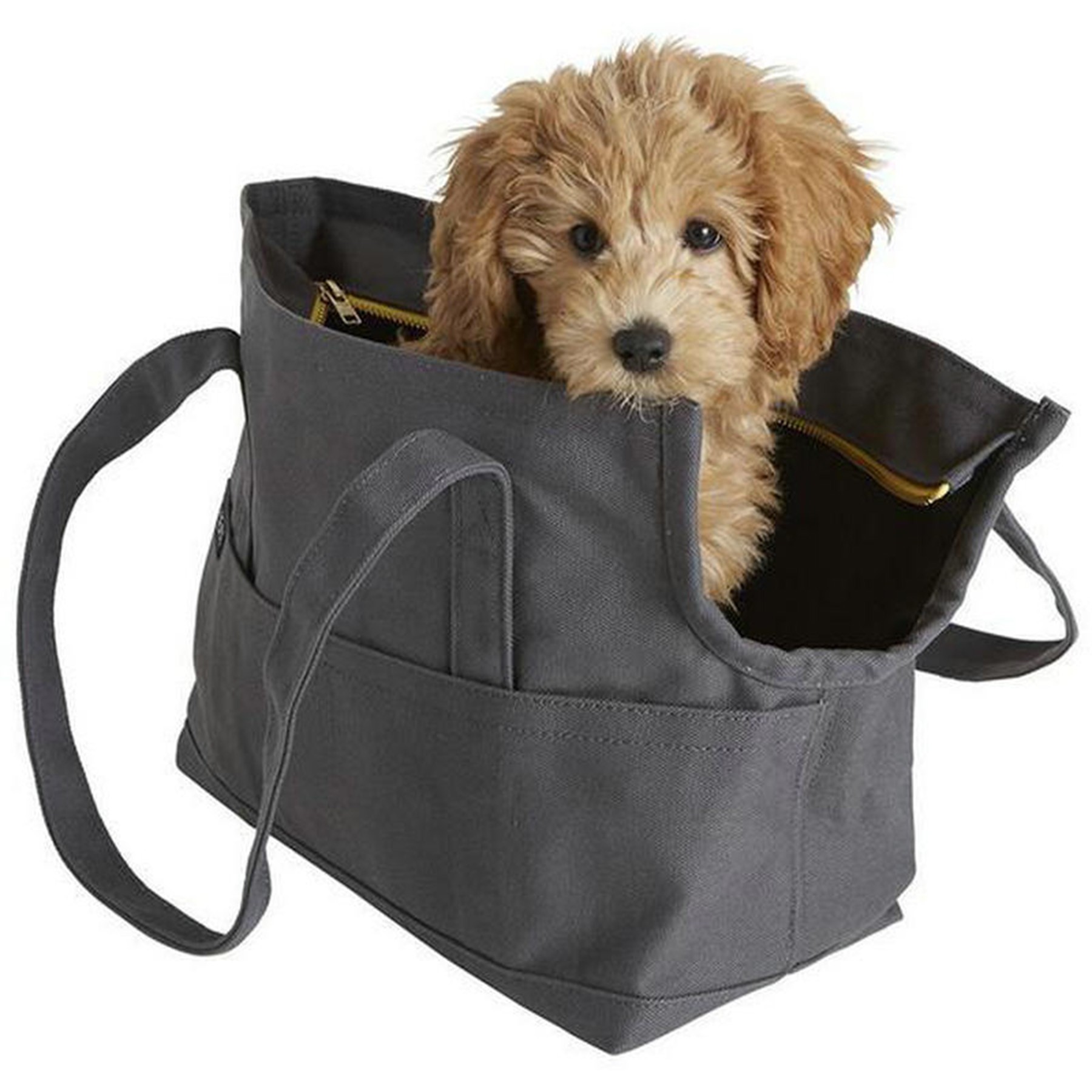 Tote Pet Carrier Bag 3