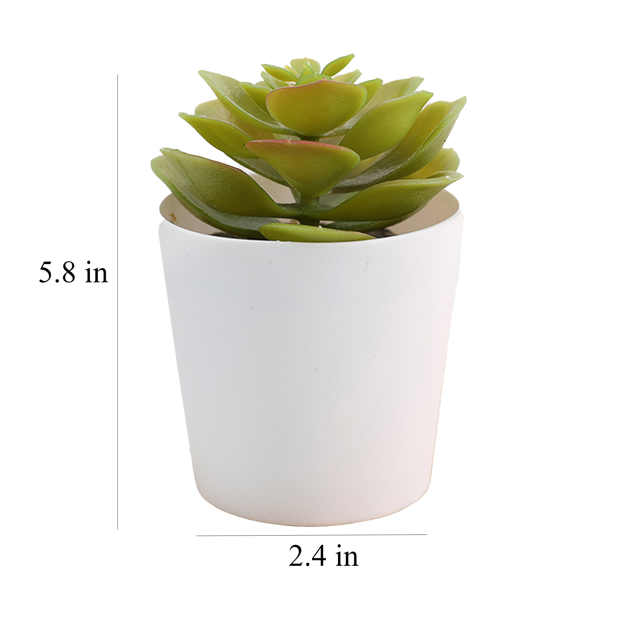 Mini Succulent Potted Plant Set for Home Decor 5
