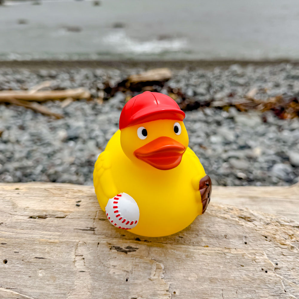Baseball Duck 4
