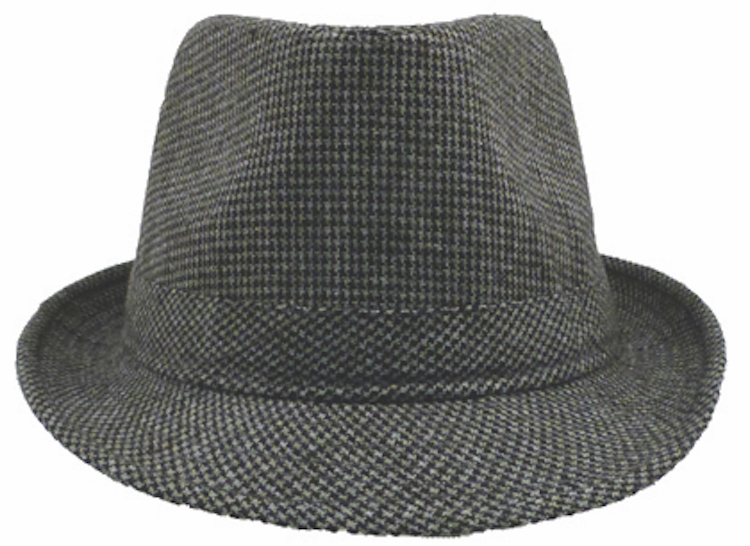 Siegel Fedora Hat 2