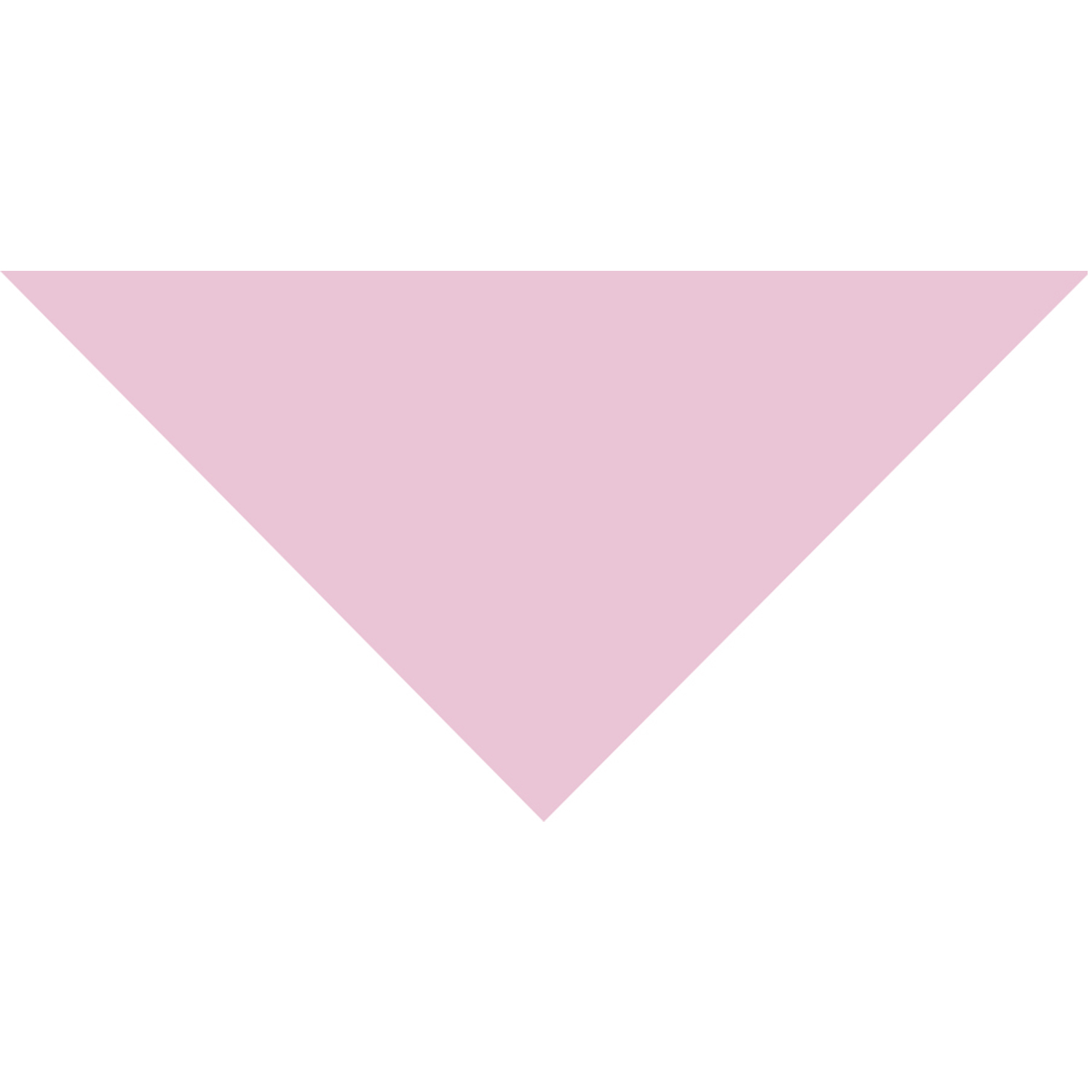Domestic Pet Bandanna 29