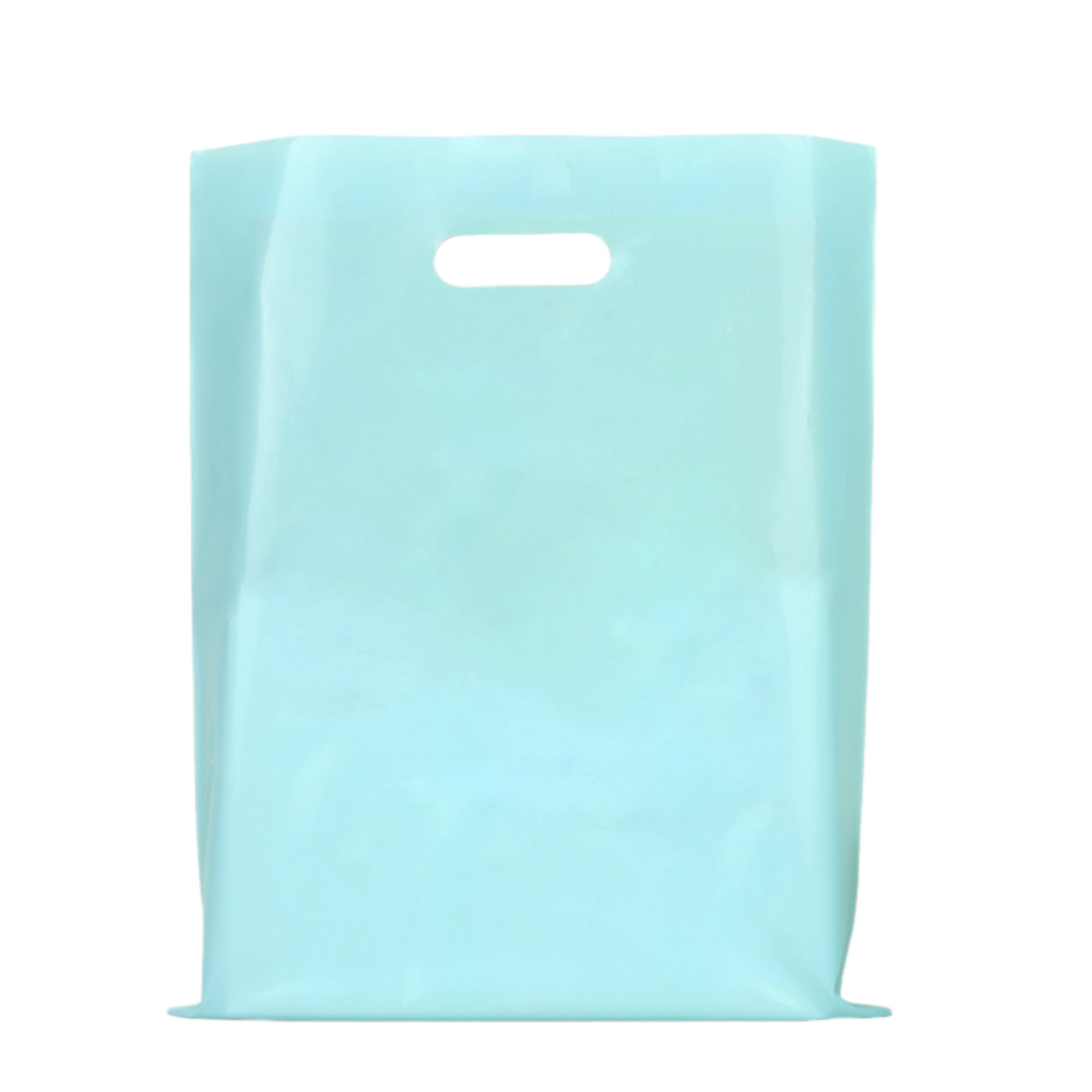 Polyethylene Die Cut Plastic Bag 9.8" x 13.8" 5