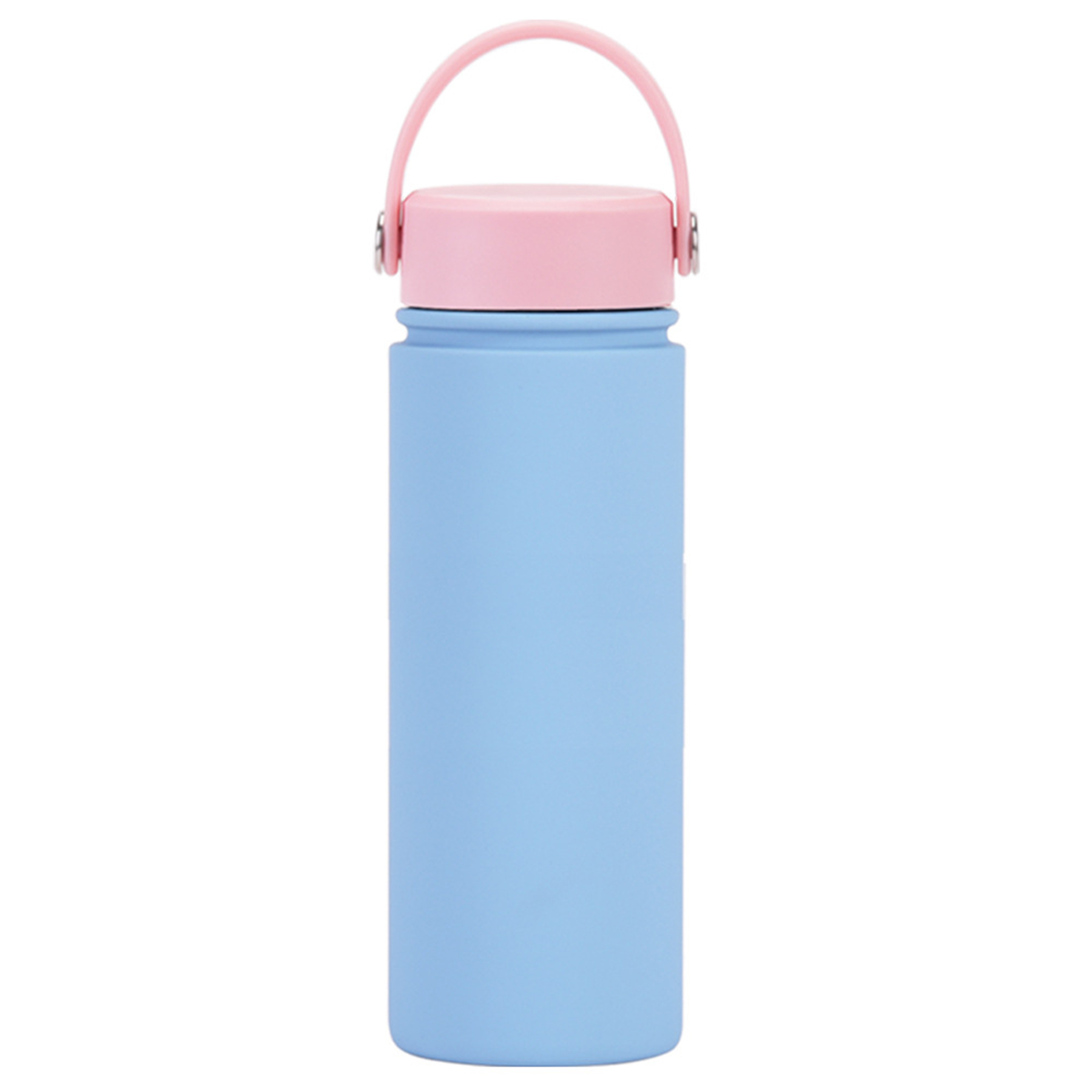 Stainless Steel Travel handled Water Bottle 19