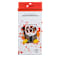 Onix Recruit Composite Pickleball Set 22
