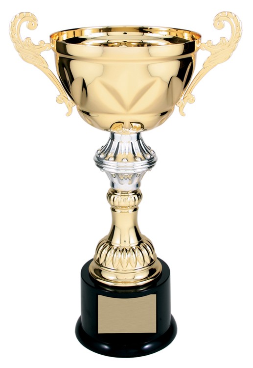 13" Tall Gold Metal Cup Trophy 2