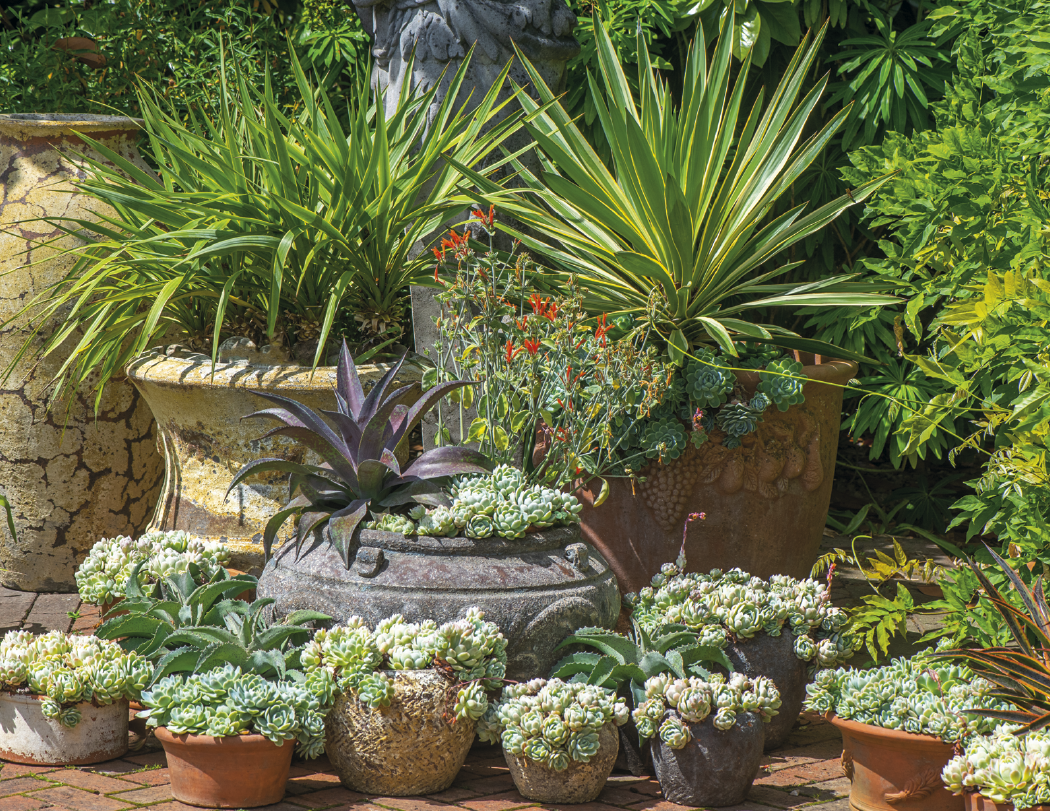Triumph® Calendars Gardens Calendar 35