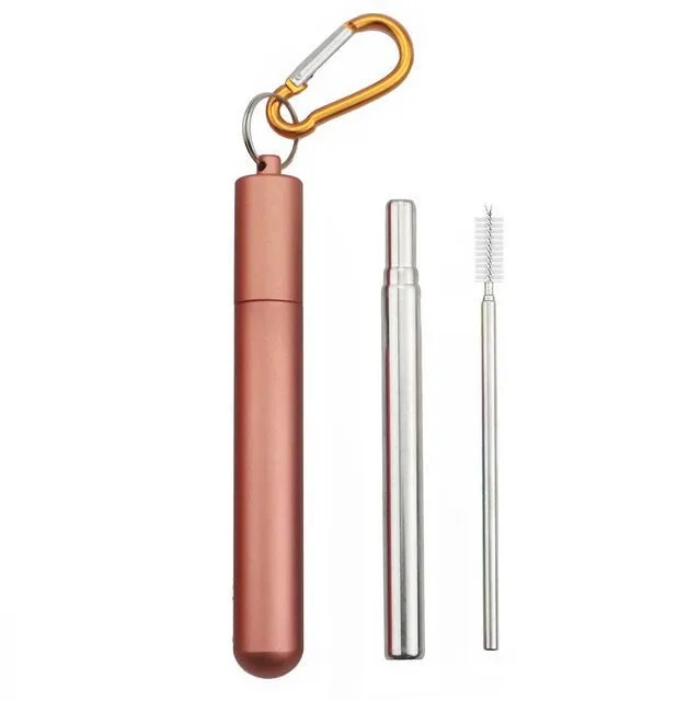 Reusable Metal Straw 6